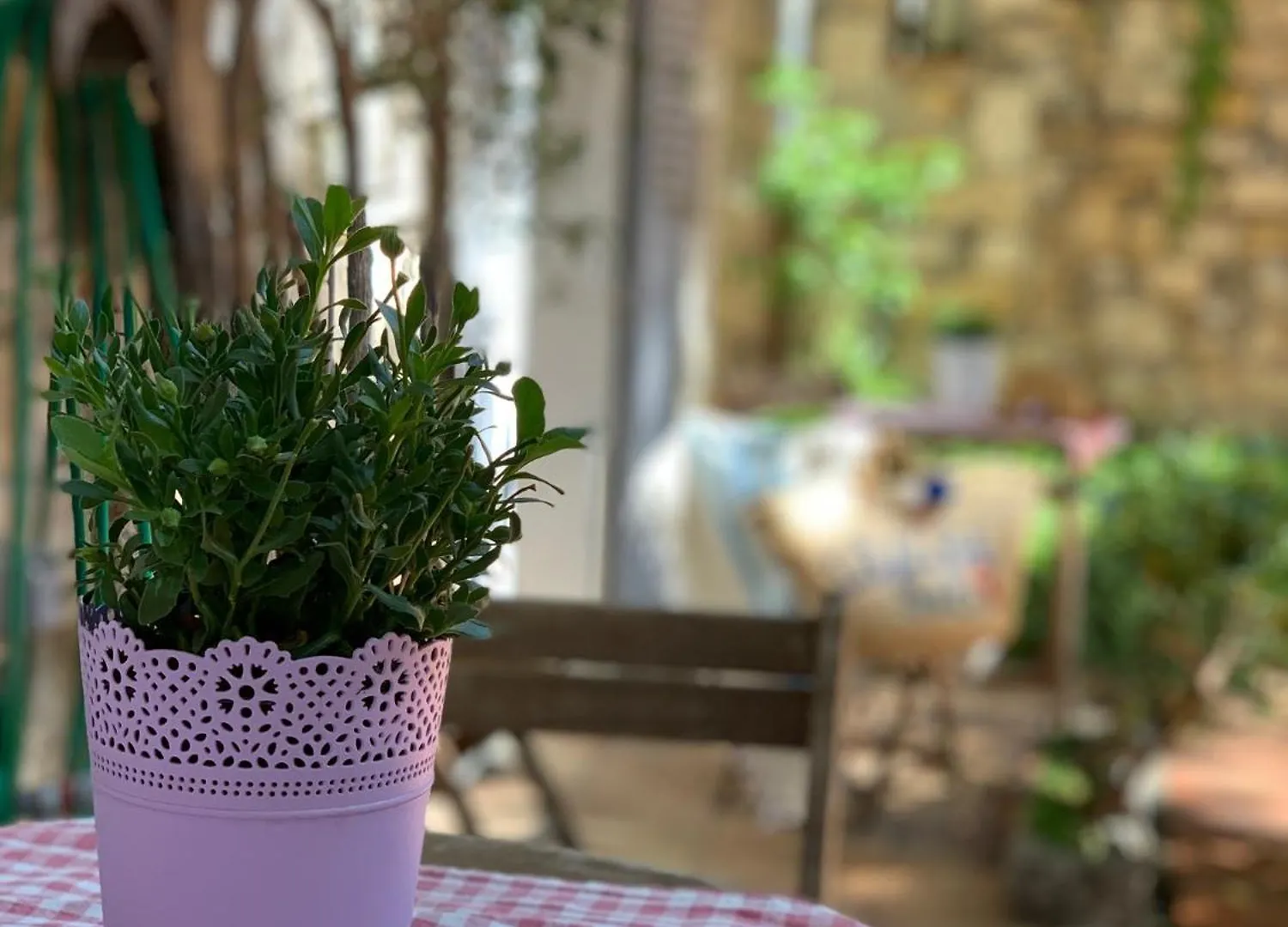 La Cle De La Porte B&B Antibes Bed & Breakfast